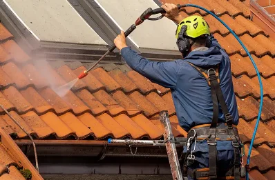 Démoussage et hydrofuge de toiture à Mant